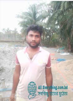 রাজ মিস্ত্রি